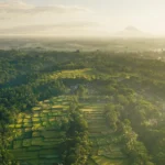 Indonesia’s Patent Framework Recalibrated 2026